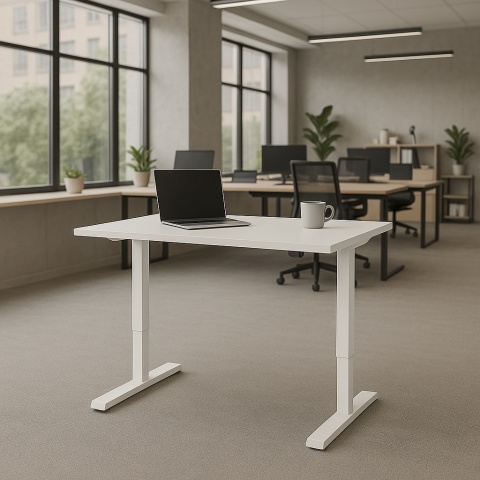 Biurko regulowane elektrycznie SmartChoice, 100x80 cm