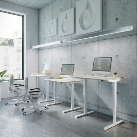 Biurko regulowane elektrycznie SmartChoice, 100x80 cm