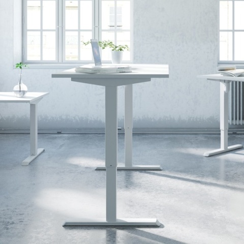 Biurko regulowane elektrycznie SmartChoice, 100x80 cm