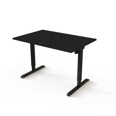 Biurko z elektryczną regulacją wysokości AxenDesk, 100x80 cm